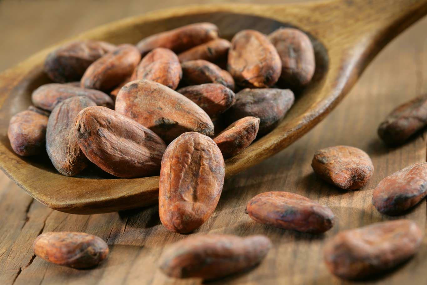 Cocoa beans